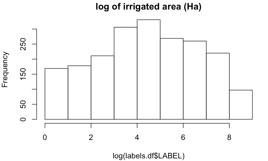 Histogram of log-transformed labels